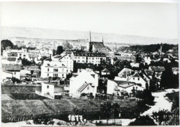 Stadtarchiv Weimar, 60 10-1/1, Blick von Südwesten in Richtung Herderkirche, um 1877
