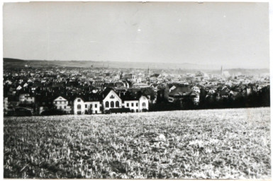 Stadtarchiv Weimar, 60 10-1/1, Blick von Süden auf Weimar, ohne Datum