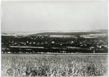 Stadtarchiv Weimar, 60 10-1/1, Blick vom Ettersberg in Richtung Süden, ohne Datum