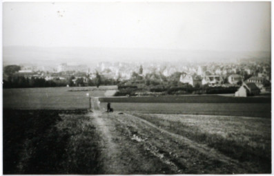 Stadtarchiv Weimar, 60 10-1/1, Blick vom Schönblick auf westlichen Stadtrand, vor 1924