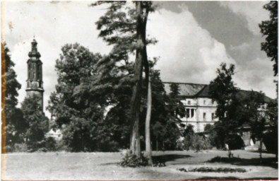 Stadtarchiv Weimar, 60 10-5/1 Bd. 2, Blick von Osten auf das Residenzschloss, ohne Datum