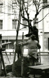 Stadtarchiv Weimar, 60 10-5/10, Blick in die Schillerstraße, 1986