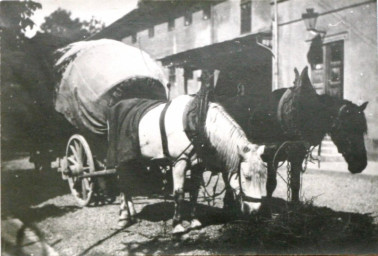 Stadtarchiv Weimar, 60 10-5/11, Heldrunger Planwagen, 1907