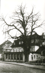 Stadtarchiv Weimar, 60 10-5/12, Theaterplatz 1a, ohne Datum