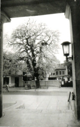 Stadtarchiv Weimar, 60 10-5/12, Blick vom Eingangsbereich Nationaltheater  auf die Dingelstedtstraße, 1988