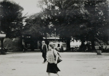 Stadtarchiv Weimar, 60 10-5/15, Blick in die Grünanlage am Goetheplatz , ohne Datum