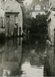 Stadtarchiv Weimar, 60 10-5/16, Blick in den Brühl, 1981