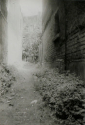 Stadtarchiv Weimar, 60 10-5/18, Blick in den Durchgang zum früheren Restaurant "Löwengarten", 1980