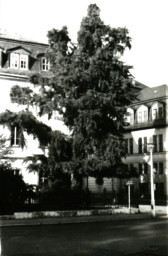 Stadtarchiv Weimar, 60 10-5/2, Fürstenhaus-Hauptgebäude der Hochschule für Musik "Franz Listz", wohl 1980