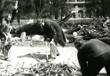 Stadtarchiv Weimar, 60 10-5/2, Sturmschaden auf dem Platz der Demokratie, wohl 1980