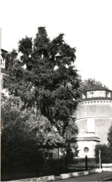 Stadtarchiv Weimar, 60 10-5/2, Blick aus der Puschkinstraße zum Turm der Zentralbibliothek der Deutschen Klassik, ohne Datum