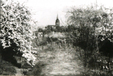 Stadtarchiv Weimar, 60 10-5/22, Blühender Garten in der Asbachstraße, um 1900