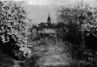 Stadtarchiv Weimar, 60 10-5/22, Blühender Garten in der Asbachstraße, um 1900