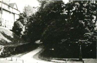 Stadtarchiv Weimar, 60 10-5/22, Blick auf den Weg von der Asbachstraße zur Bürgerschulstraße/ Am Viadukt, vor 1936