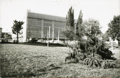 Stadtarchiv Weimar, 60 10-5/23, Blick von der Friedensbrücke/ Friedensstraße auf das Mehrzweckgebäude, 1980