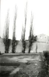 Stadtarchiv Weimar, 60 10-5/23, Blick auf eine Wand neben dem Haus Nr. 9 der Ernst-Thälmann-Straße, 1985