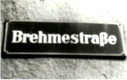 Stadtarchiv Weimar, 60 10-5/26, Straßenschild "Brehmestraße", ohne Datum