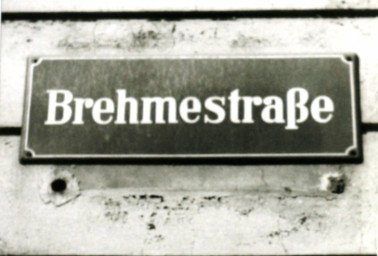 Stadtarchiv Weimar, 60 10-5/26, Straßenschild "Brehmestraße", ohne Datum