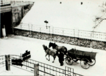 Stadtarchiv Weimar, 60 10-5/26, Blick auf die Buttelstedter Straße, um 1920