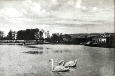 Stadtarchiv Weimar, 60 10-5/28, Blick auf den Schwansee, um 1920