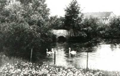 Stadtarchiv Weimar, 60 10-5/28, Blick auf den kleinen Schwanseeteich, um 1920