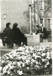 Stadtarchiv Weimar, 60 10-5/3 Bd. 1, Sitzbänke in der Freifläche der zerstörten Marktnordseite, 1983