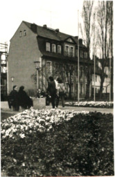 Stadtarchiv Weimar, 60 10-5/3 Bd. 1, Blick in die Freifläche der zerstörten Marktseite, 1983