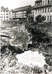 Stadtarchiv Weimar, 60 10-5/3 Bd. 2, Blick auf die Grünanlage Marktnordseite, 1988