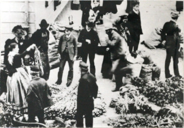 Stadtarchiv Weimar, 60 10-5/3 Bd. 2, Zwiebelmarkt in der Schillerstraße, um 1900