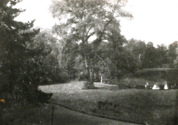 Stadtarchiv Weimar, 60 10-5/30 Bd. 1, Blick in Frorieps Garten (?) hinter dem Bertuchhaus, ohne Datum