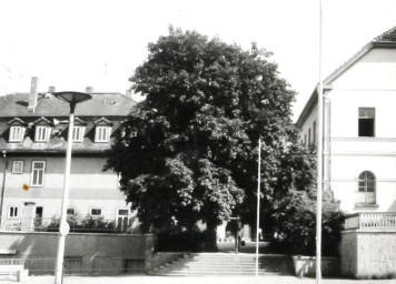 Stadtarchiv Weimar, 60 10-5/30 Bd.2, Blick in den Durchgang vom Platz vor der Weimarhalle zur Karl-Liebknecht-Straße, nach 1982