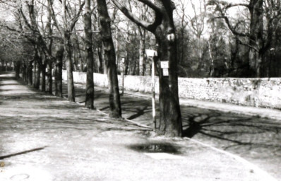 Stadtarchiv Weimar, 60 10-5/30 Bd.2, Blick in die Bad Hersfelder Straße, wohl 1986