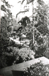 Stadtarchiv Weimar, 60 10-5/30 Bd.2, Blick auf den Weimarhallenpark, ohne Datum