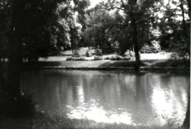 Stadtarchiv Weimar, 60 10-5/30 Bd.2, Blick auf den Weimarhallenteich, wohl 1989