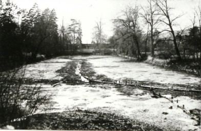 Stadtarchiv Weimar, 60 10-5/30 Bd.2, Blick auf den Teich in Frorieps Garten, um 1930