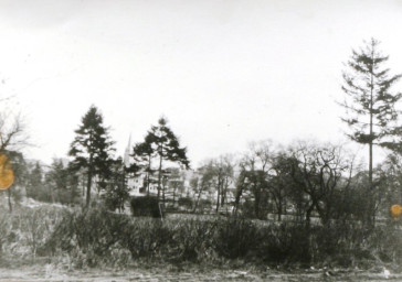 Stadtarchiv Weimar, 60 10-5/30 Bd.2, Blick in den Froriepschen Garten, vor 1930