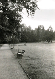 Stadtarchiv Weimar, 60 10-5/30 Bd.2, Blick in den Weimarhallenpark, nach 1950