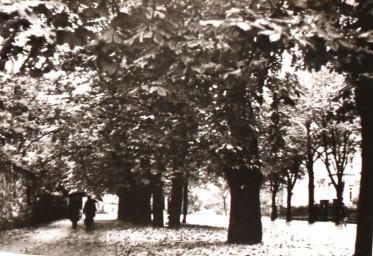 Stadtarchiv Weimar, 60 10-5/32, Blick in die Lottenstraße, um 1920