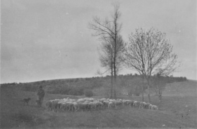 Stadtarchiv Weimar, 60 10-5/33, Blick in das Kirschbachtal, ohne Datum