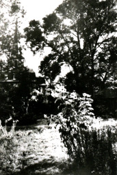 Stadtarchiv Weimar, 60 10-5/6, Blick in den Herdergarten , 1980