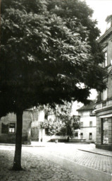 Stadtarchiv Weimar, 60 10-5/9, Blick zum Donndorfbrunnen/ Geleitstraße, um 1950