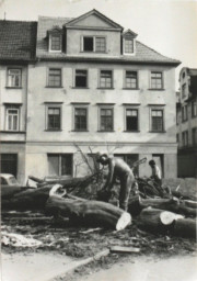 Stadtarchiv Weimar, 60 10-5/9, Wielandstraße 4, ohne Datum