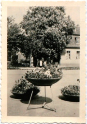 Stadtarchiv Weimar, 60 10-5/9, Blick auf den Theaterplatz , 1985