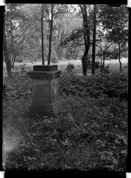 Stadtmuseum Weimar, Eichhorn 776 (K II 096 A), Blick auf den Grabstein der Familie Bertuch, 1942