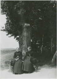 Stephan Liebig, 60 14 K2-367/3, An der Ettersburger Chaussee, um 1890