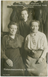 Stephan Liebig, 60 14 K2-376/3, Frauen als Wählerinnen , 1919