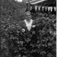 , 60 10 (Negativ 3218b), Augusta (?) Schindler im Garten