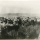 Stadtarchiv Weimar, 60 10-1/1, Blick von Süden in Richtung Buchenwald