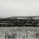 Stadtarchiv Weimar, 60 10-1/1, Blick vom Ettersberg in Richtung Süden