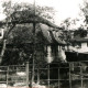 Stadtarchiv Weimar, 60 10-5/16, Blick von der Kegelbrücke auf das alte Schlachthaus